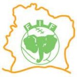 The logo of Ivory Coast National Football Team