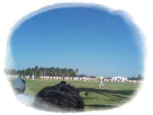 Coimbatore vs Tiruchi played at Coimbatore