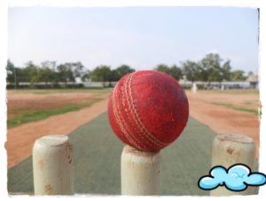 District Cricket - Tirupur