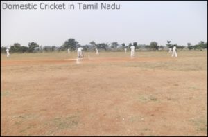 Domestic Cricket in Tamil Nadu