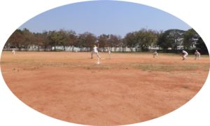 Cricket in the Districts