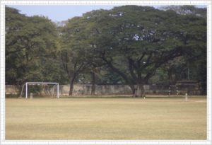 District Cricket