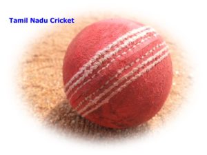 District Cricket