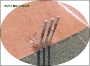 District Cricket