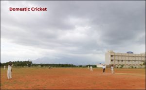 Domestic Cricket