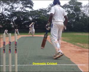 Domestic Cricket