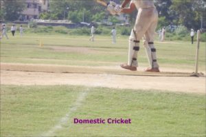 Domestic Cricket