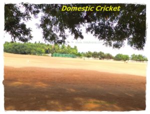 Tamil Nadu Cricket