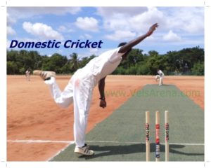 Tamil Nadu cricket