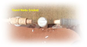 Tamilnadu Cricket