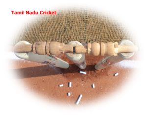 Tamilnadu Cricket