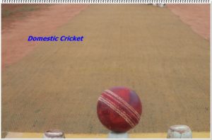 District Cricket